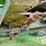 1996-john-deere-893-image-14