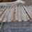 2005-extec-c12-image-22