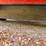 #47804-•-2005-chevrolet-corvette-convertible-vin:-1g1yy34u655124268-image-19