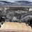 2016-ford-f150-image-15
