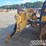 2016-caterpillar-d5k2-lgp-image-9
