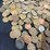 #36157-•-600-plus-wheat-pennies,-1920s-1950s-image-13
