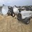 2014-wacker-neuson-ltn-6-image-10