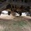 2009-am-general-humvee-4x4-image-17