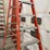 #4588-•-little-giant-leveler-adjustable-ladder-image-9
