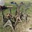 pipe-jacks-image-6