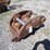 hydraulic-quick-coupler-image-1