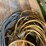 #4562-•-assortment-of-extension-cords-image-2