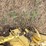 new-holland-1100-image-11