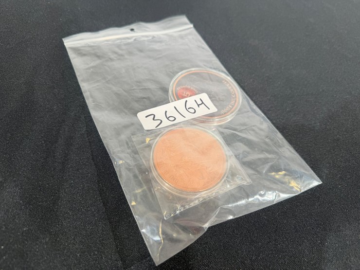 #36164-•-copper-bullions-round-.999,-lot-of-2-new-death-una-and-the-lion-image-10