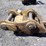 caterpillar-hydraulic-quick-coupler-image-8