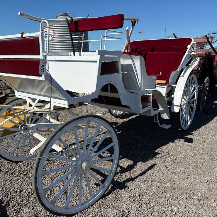#59 • HORSE DRAWN CARRIAGE