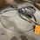 #4578-•-(2)-lp-flame-blower-heads-image-1