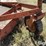 bush-hog-206-image-14