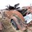 1934-dodge-roadster-project-image-6