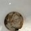 ace-roto-mold-100-gal-poly-tank-image-8