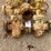 (8)-1”-to-4”-5k-manual-gate-valves-image-4