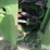 1978-john-deere-8630-image-14