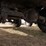 1995-jeep-wrangler-image-14
