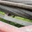 1989-case-ih-8350-image-12