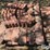 decorative-pavers-image-6