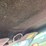 #47804-•-2005-chevrolet-corvette-convertible-vin:-1g1yy34u655124268-image-75