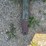 portable-cattle-feeder-image-9