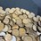 #36157-•-600-plus-wheat-pennies,-1920s-1950s-image-6