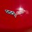 #47804-•-2005-chevrolet-corvette-convertible-vin:-1g1yy34u655124268-image-34
