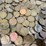 #36157-•-600-plus-wheat-pennies,-1920s-1950s-image-15