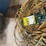 #4600-•-assortment-of-extension-cords-image-4