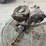 multiquip-power-trowel-image-7