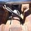 hydraulic-quick-coupler-image-9