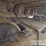 2017-caterpillar-336fl-image-12
