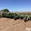 john-deere-1720-image-1