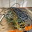 #4561-•-assortment-of-extension-cords-image-1