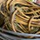 #4562-•-assortment-of-extension-cords-image-5