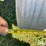 aluminum-tank-&-ladders-image-11