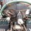 inoperable-2005-mack-cv713-granite-tri/a-vacuum-tr-image-66