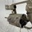 #72-•-charter-arms-undercover-38-special-revolver-107614-image-15