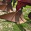 case-ih-540-image-5
