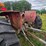 massey-ferguson-175-image-47