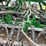john-deere-1890-image-36