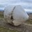 poly-coned-bottom-tank-image-1
