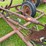 ih-16'-spring-tooth-drag-image-9