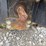 cub-cadet-7305-image-8