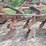 white-6-bottom-moldboard-plow-image-12