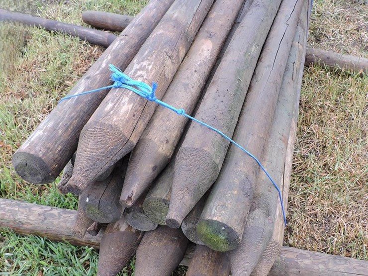 treated-wood-driver-posts-image-1