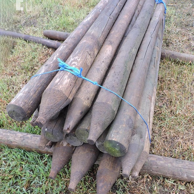 TREATED WOOD DRIVER POSTS