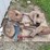 (4)-international-moldboard-plow-coulters-image-2